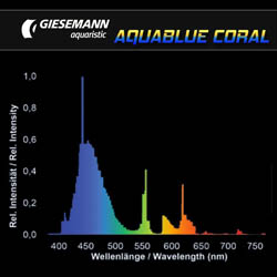Giesemann GS00562-6 Aquablue Coral 54W 48" T5 Ho Lamp (6) (Gm-T5-Aqb)