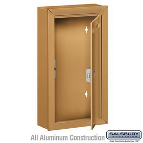 Salsbury Industries 2260BP Letter Box (Includes Commercial Lock) - Slim - Surface Mounted - Brass - Private Access