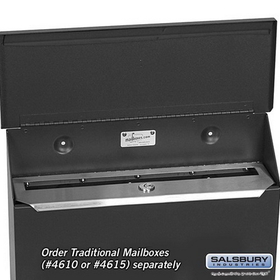 Salsbury Industries 4611 Security Kit - Option for Traditional Mailbox - Horizontal Style - with (2) Keys