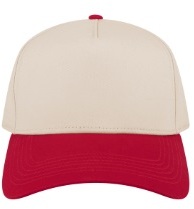5 Panel Front