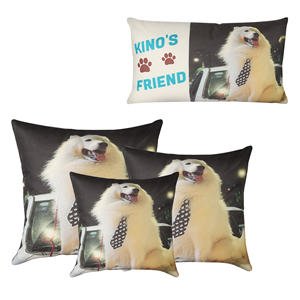 Custom Photo Pillowcase, Design Image or Text Pillow Cover, Premium Personalize Gift for Party, Wedding Keepsake Throw Pillow