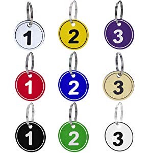 Aspire 50pcs ABS Number Key Tags with Key Rings, ID Tag Keychain for Dormitory House Lockers Storage Tags