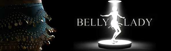 BellyLady Stunning Handmade Chiffon Belly Dance Veil, For Practice