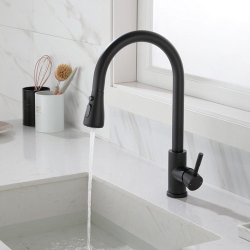 Kitchen Faucet with Pull Out Spraye TH4001MB
