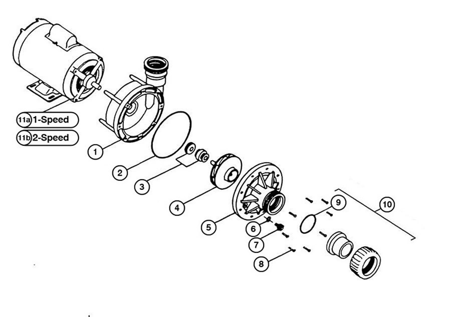Magic Plastics 0602-15B Pump Union, 1-1/2" Female Buttress Thread x 1-1/2" Slip