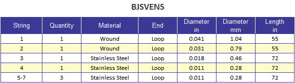 banjira BJSVENS Saraswati Veena Main String Set