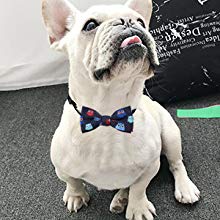 GOGO Christmas Festival Pet Puppy Bow Tie Neckties for Cats & Small Dogs, Assorted Cute Style, Grooming Accessories