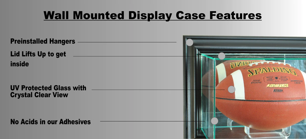 Perfect Cases and Frames Wall Mounted MINI Bat Display Case