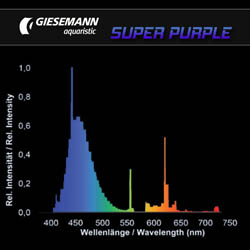 Giesemann GS02730 Super Purple 80W 60" T5 Ho Lamp (Gm-T5-Sp)