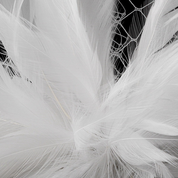 Elegance by Carbonneau Comb-750-Diamond-White Flower Feather Fascinator with Russian Tulle Veiling Accent on Comb 750