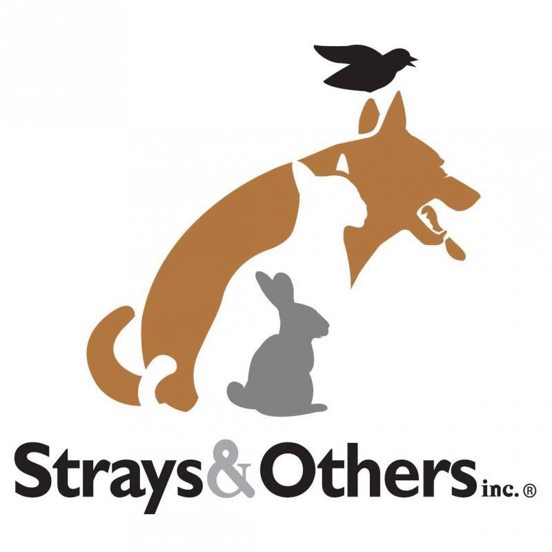 Strays & Others Inc
