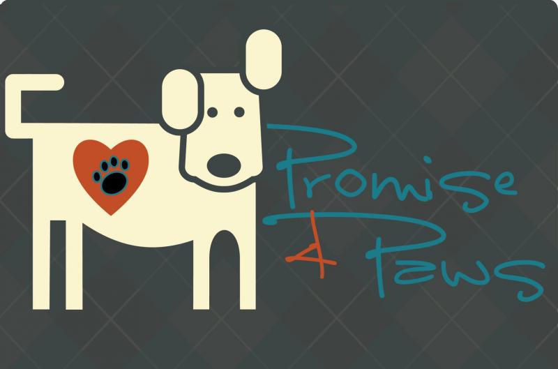 Promise 4 Paws Dog Rescue Inc.