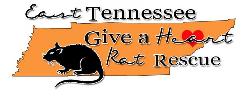 East Tennessee Give A Heart Rat Rescue