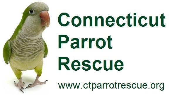 Connecticut Parrot Rescue