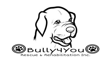 Bully4You Rescue & Rehabilitation Inc