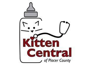 Kitten Central Of Placer County Incorporated