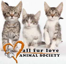 All Fur Love Animal Society