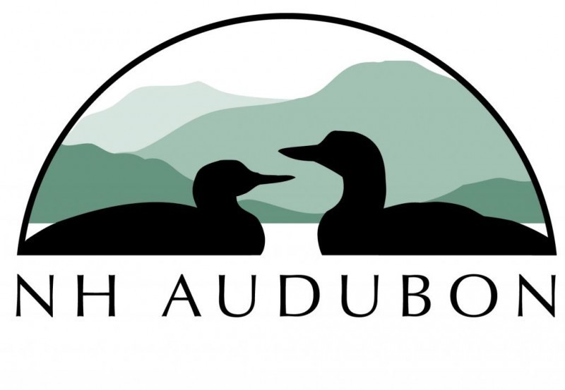 New Hampshire Audubon