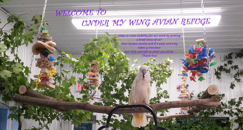 Under My Wing Avian Refuge AKA Under My Wing AKA UMWAR