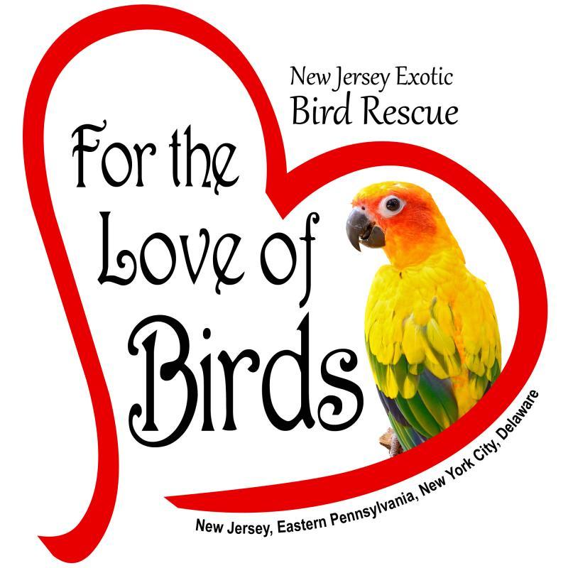 For The Love Of Birds A New Jersey Non Profit Corporation
