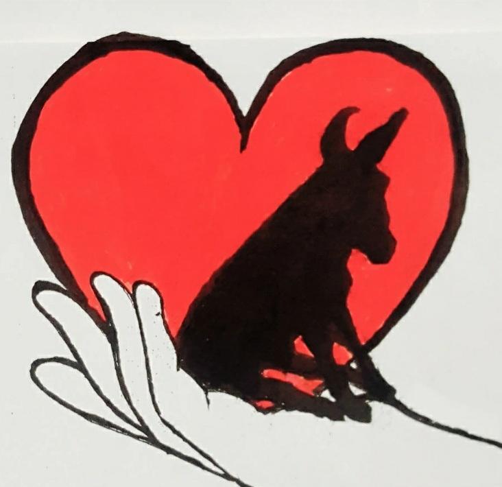 Healing Hearts Donkey Shelter and Refuge