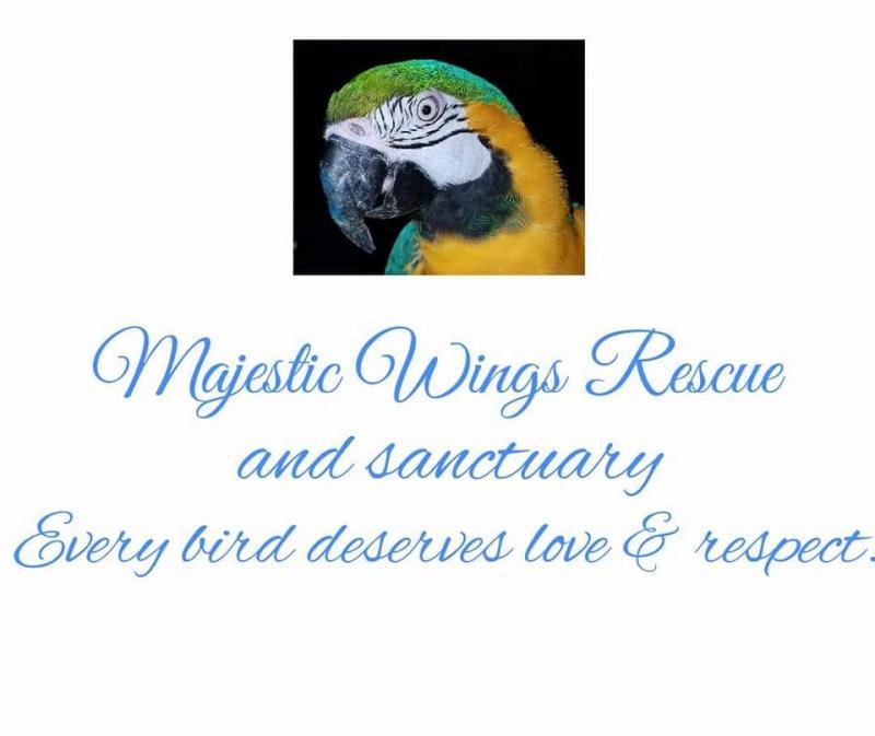 Majestic Wings Rescue