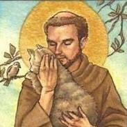 St Francis Feral Cat Sanctuary Org