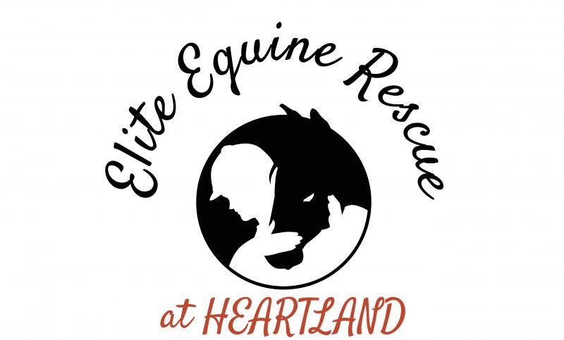 Elite Equine Rescue &  Rehab
