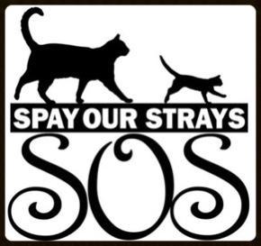 Spay Our Strays Inc