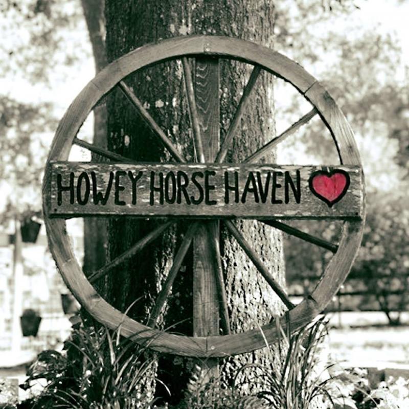 Howey Horse Haven Rescue