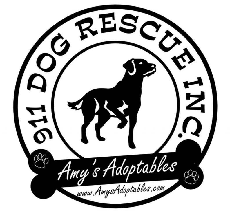 911 Dog Rescue