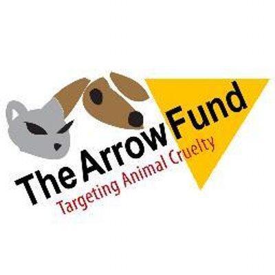 The Arrow Fund Inc