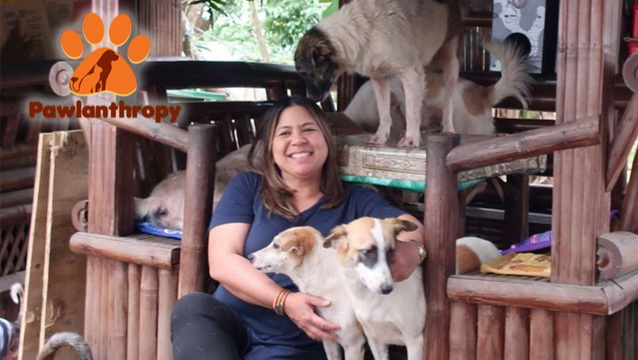 Be the Savior of Stray Animals in the Philippines