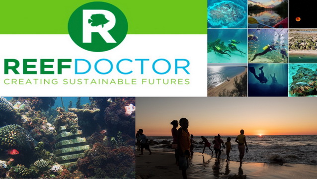 Rebuilding Coral Reefs in Madagascar