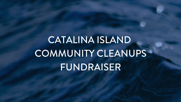 Catalina Community Cleanups Fundraiser