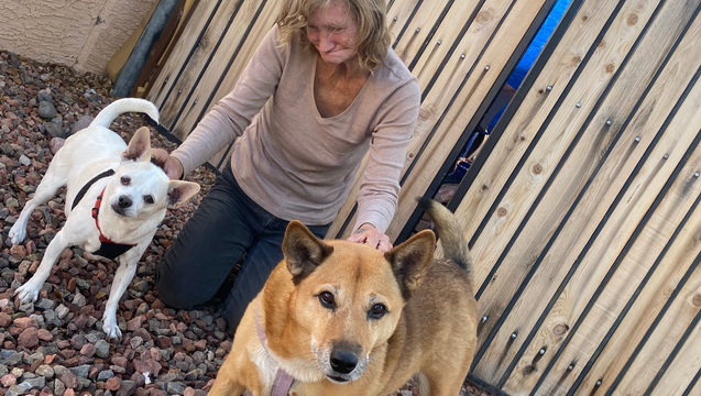 Sweet woman &amp; her dogs needs our help please