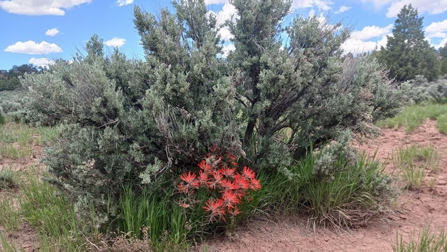 URGENT  WATER ALERT: Protect New Mexico Aquifer