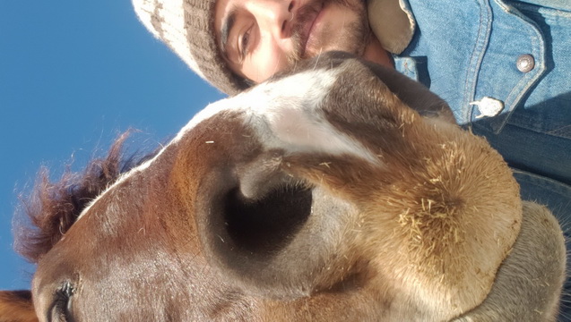 Indigenous American horse and Buffalo preserve