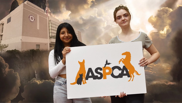 Kayden's Charity: ASPCA