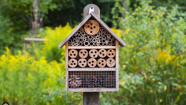 Eagle Scout Project Bug Hotel