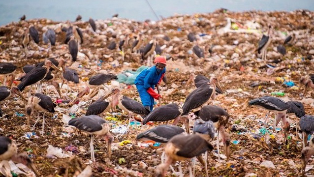 BUILDING A WASTE MANAGEMENT AND RECYCLING FACILITY