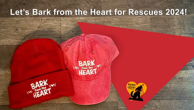 Bark From The Heart Rescue Holiday Red Fundraiser