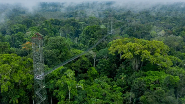 The Amazon Rainforest&s environment and community