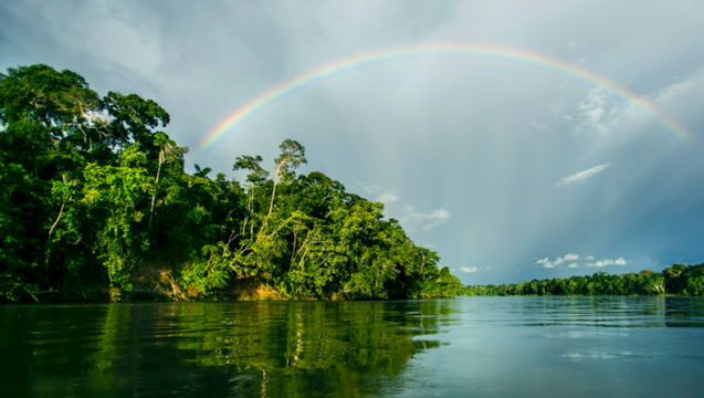 ¡Salva nuestro Amazón! - Save our Amazon!