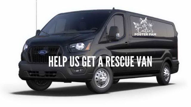 Help us get a rescue van!