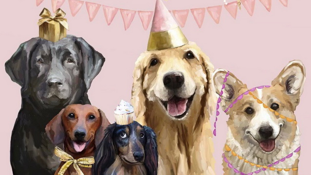Lily’s 10th Birthday Celebration for Pets in Need!