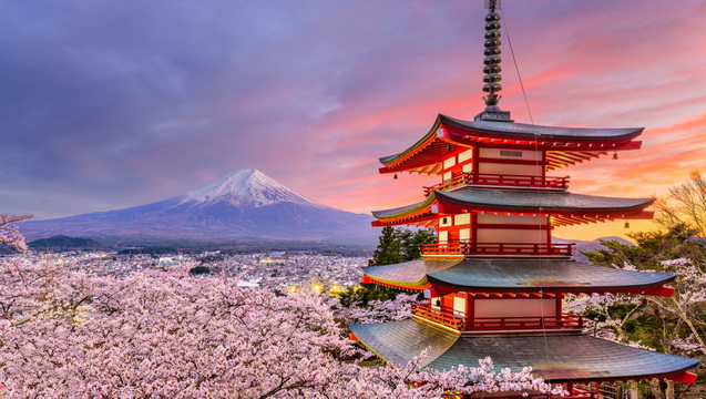 Study abroad to Japan