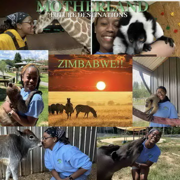 Veterinary Study Course Abroad!