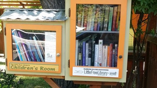 Help Us Expand Our Little Free Library