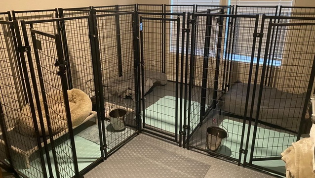 Dog Kennel Room